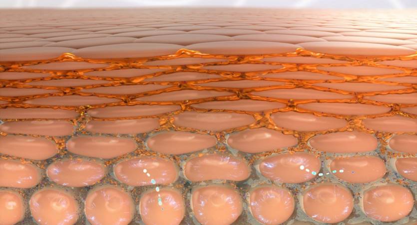 3-skin-barrier-1500x843